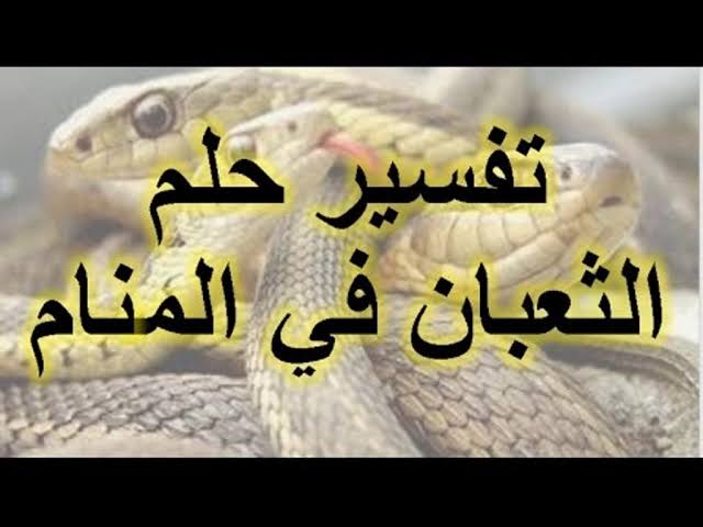 تفسير حلم الثعابين في البيت - دائما حلم الثعبان يتكرر 589 1