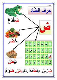 مدينه بحرف ض - سؤال محير للجميع تعرف علي الاجابة 3856 7