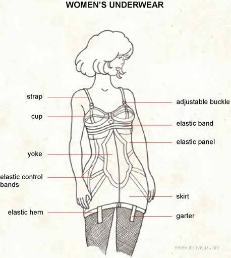 اسماء الملابس الداخلية للنساء - ملابس النساء بالصور تابع 352 6