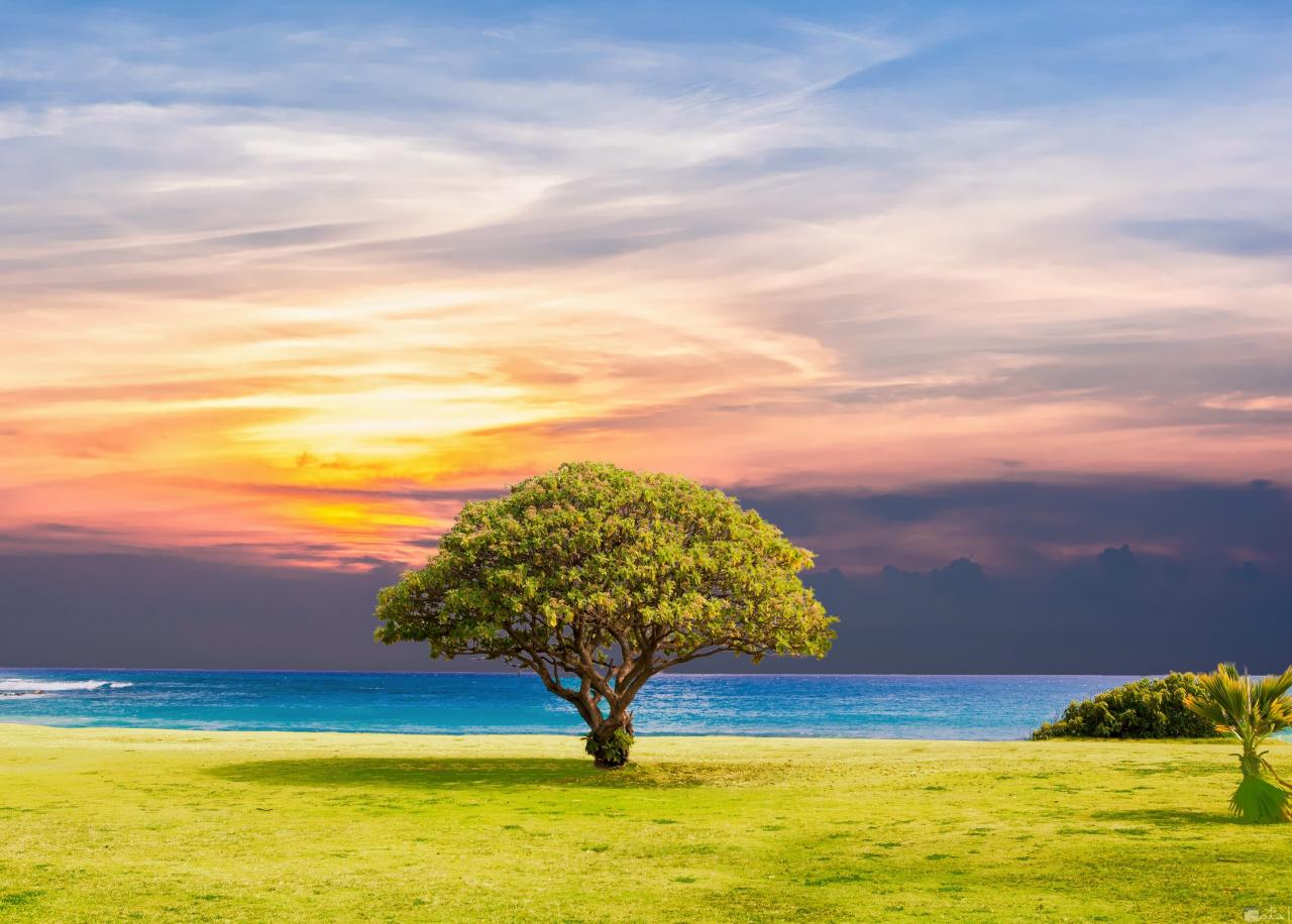 اجمل مناظر البحر , شاهد خلفيات طبيعيه ممتعه عند النظر اليها