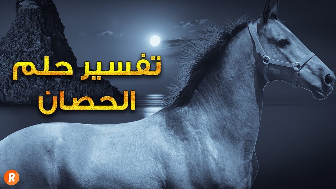 الحصان في الحلم , رايت حصان فى منامى فما التفسير