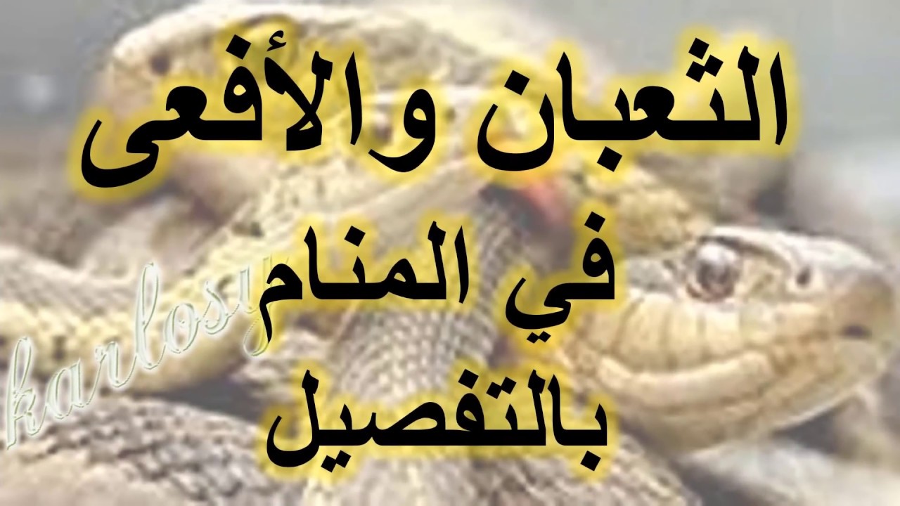 تفسير الاحلام رؤية الثعبان , حنش كبير فى المنام