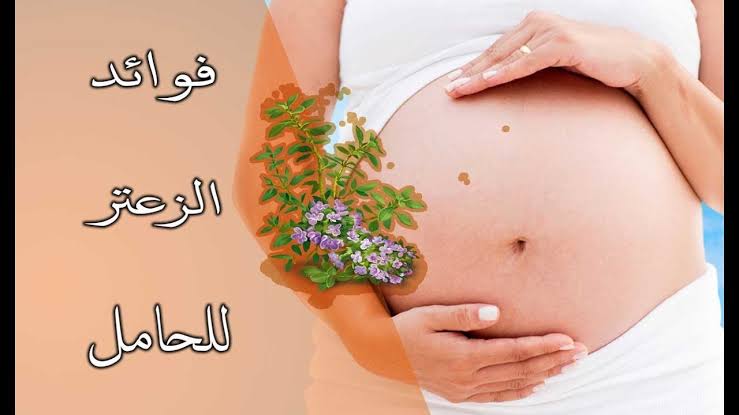 اضرار الزعتر للحامل , تجنبي الزعتر في الحمل لهذه الاسباب