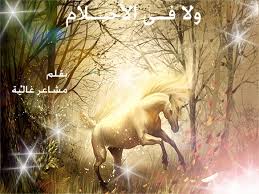 ولا فى الاحلام ابداعات دعاء عبد الرحمن واروع روايتها