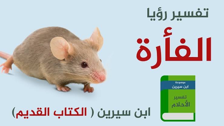 الفار في المنام للعزباء , الفار في المنام لابن سيرين