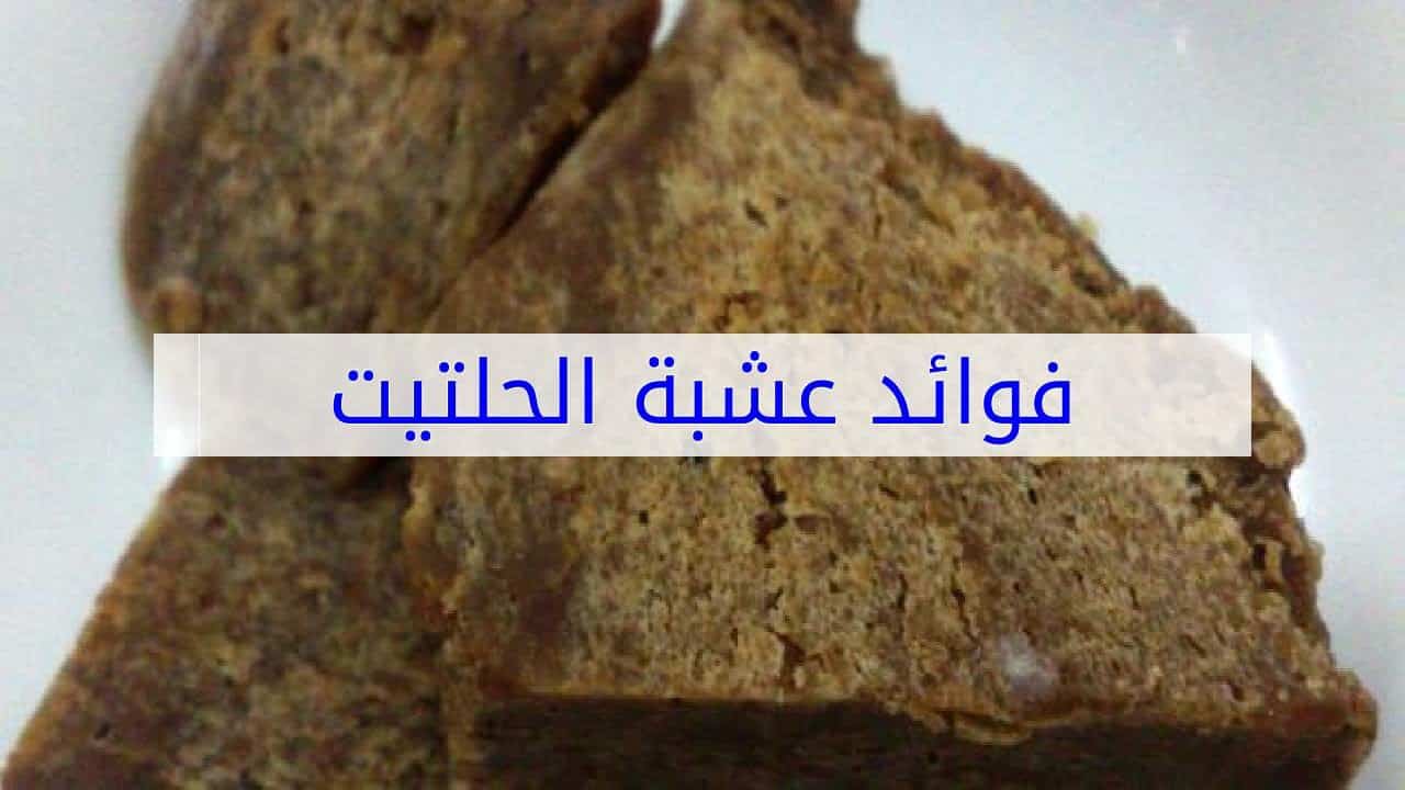 فوائد الحلتيت للشعر , طريقه سهله للشعر المرجع بالحلتيت