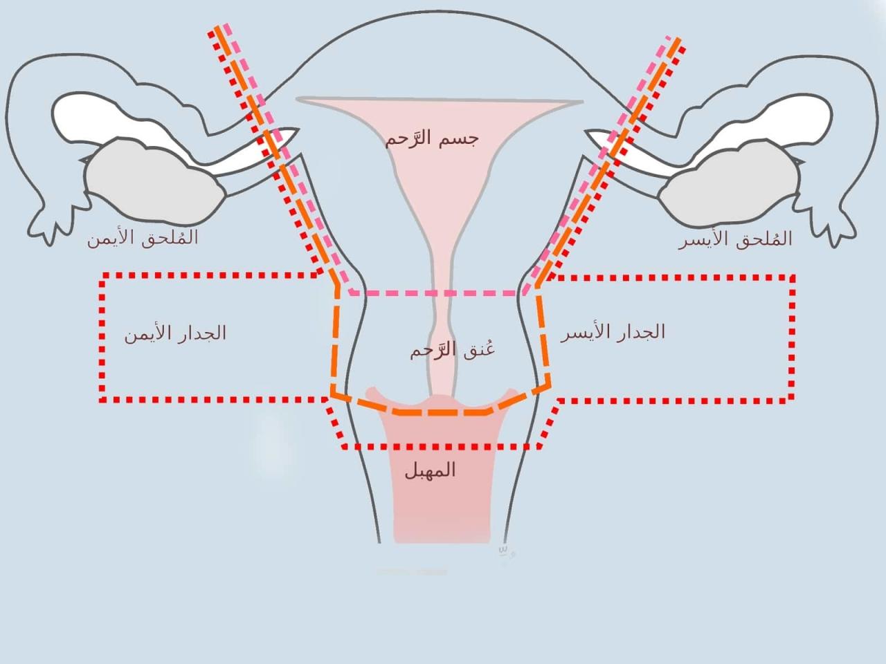 اعراض هواء الرحم - عندما تتعرفى على السبب سوف يبطل العجب