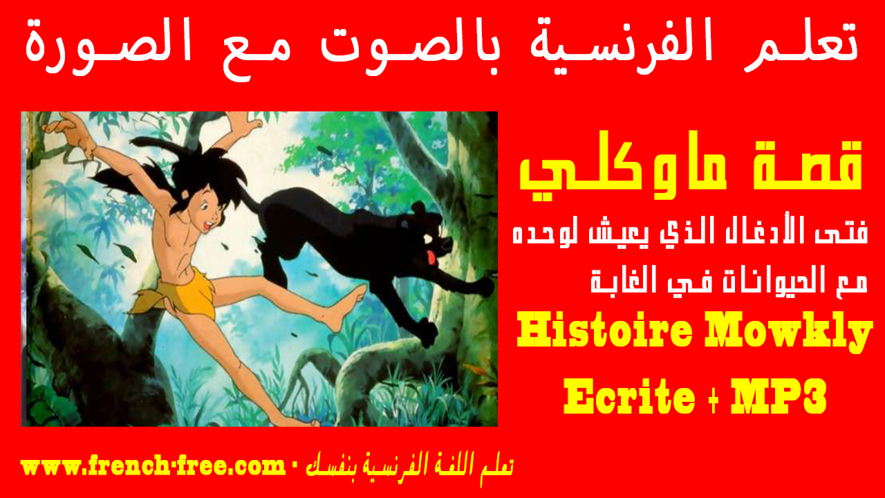 قصص مصورة بالفرنسية , فوايد قصص الفرنسيه