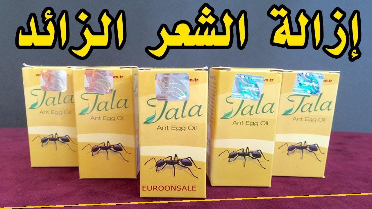 فوائد زيت النمل , فائدة عجيبة تعرف عليها