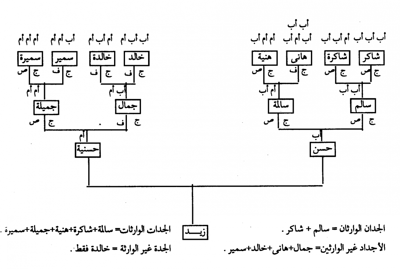 كم يرث الزوج من زوجته - الميراث حق شرعة الله 6030 1